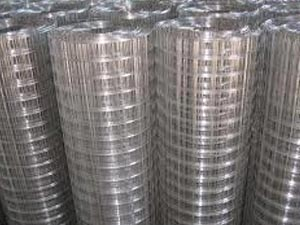 Galvanized Welded Wire Mesh