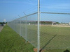 Galvanized Chain Link Fence