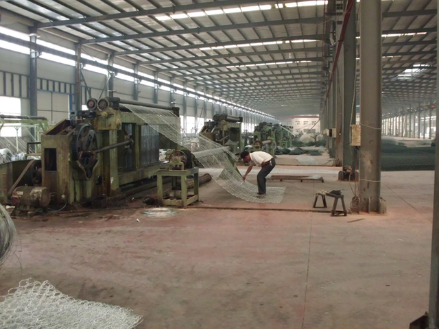 Light Hexagonal Wire Netting