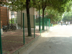 Street Greening Project