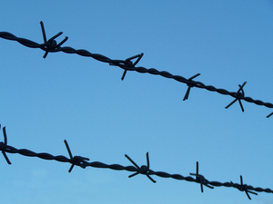 Double Twist Barbed Wire
